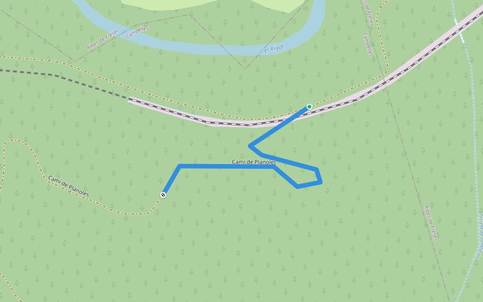Camí de Planoles walking route map in Ribes de Freser