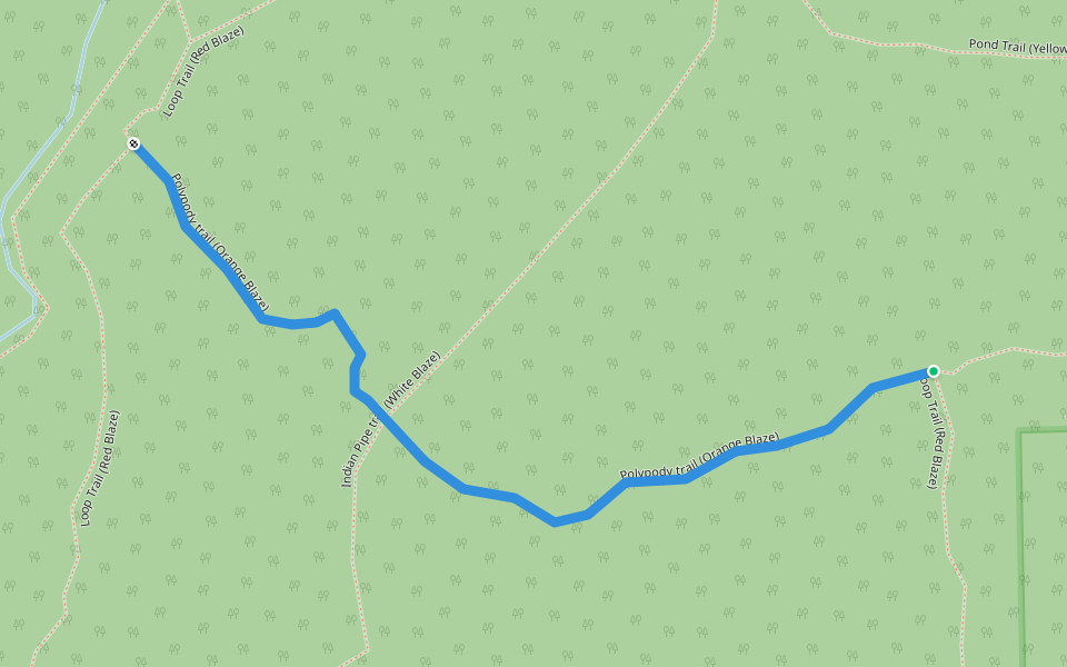 Polypody trail (Orange Blaze) walking route map in Sarver