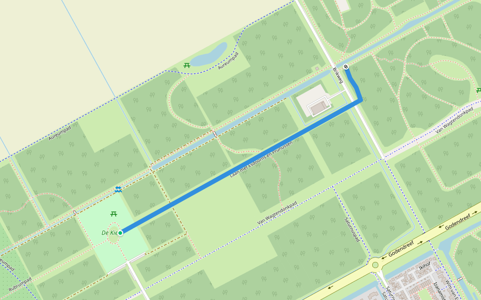 Laan met Esdoorns en Prunussen