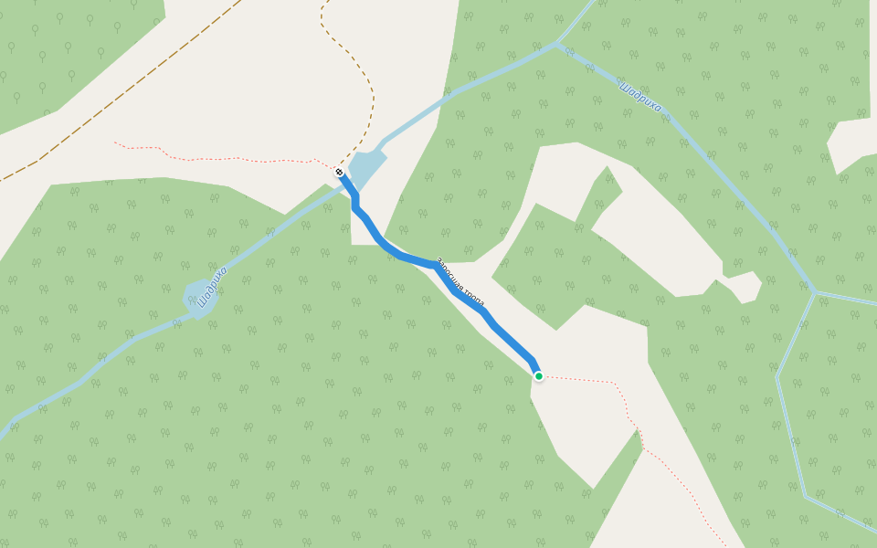 Заросшая тропа walking route map in Kliuchi