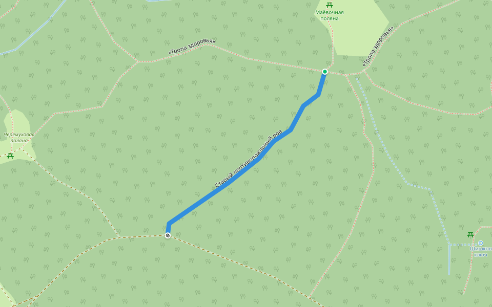 Старый противопожарный ров walking route map in Tomsk