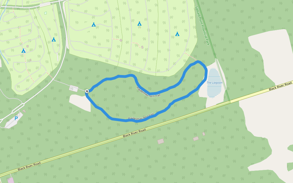 maidenhair fern trail walking route map in Georgina
