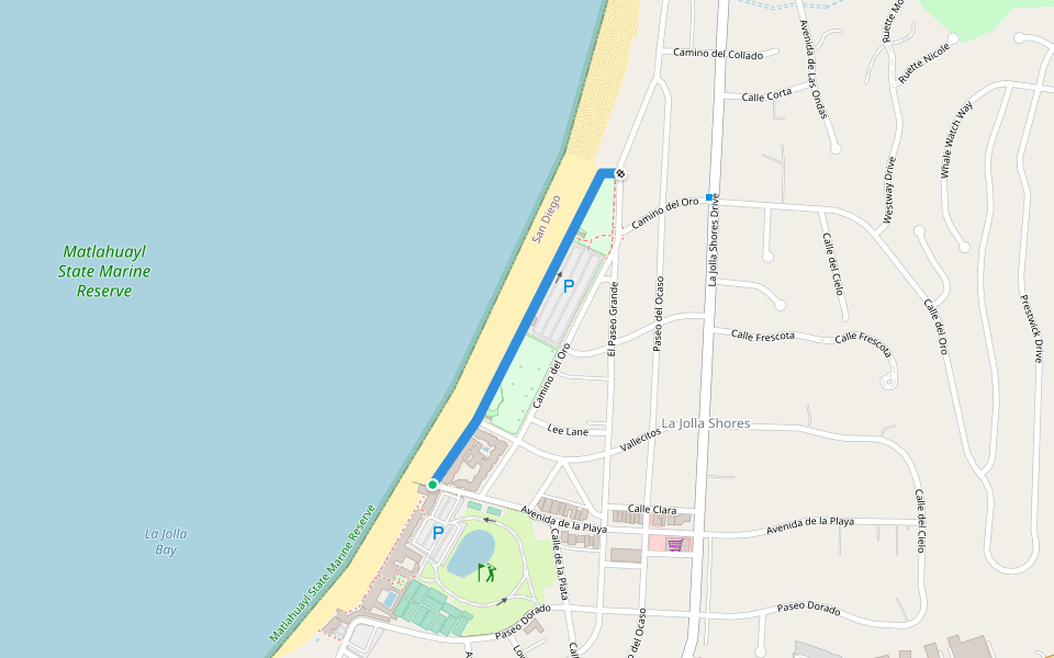 【米国購入品】カリフォルニア州近郊のトレイルマップ 登山地図 山頂で星条旗が待っている！LA近郊登山@Mount Baden Powell