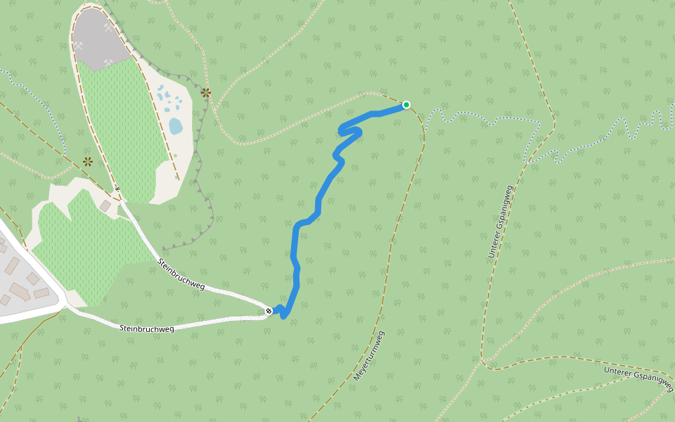 Biketrail Arlesheim: Canyon Trail walking route map in Arlesheim