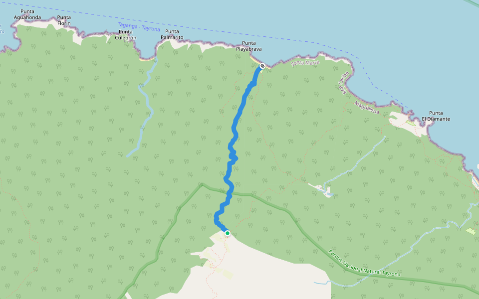Camino a Playa Brava