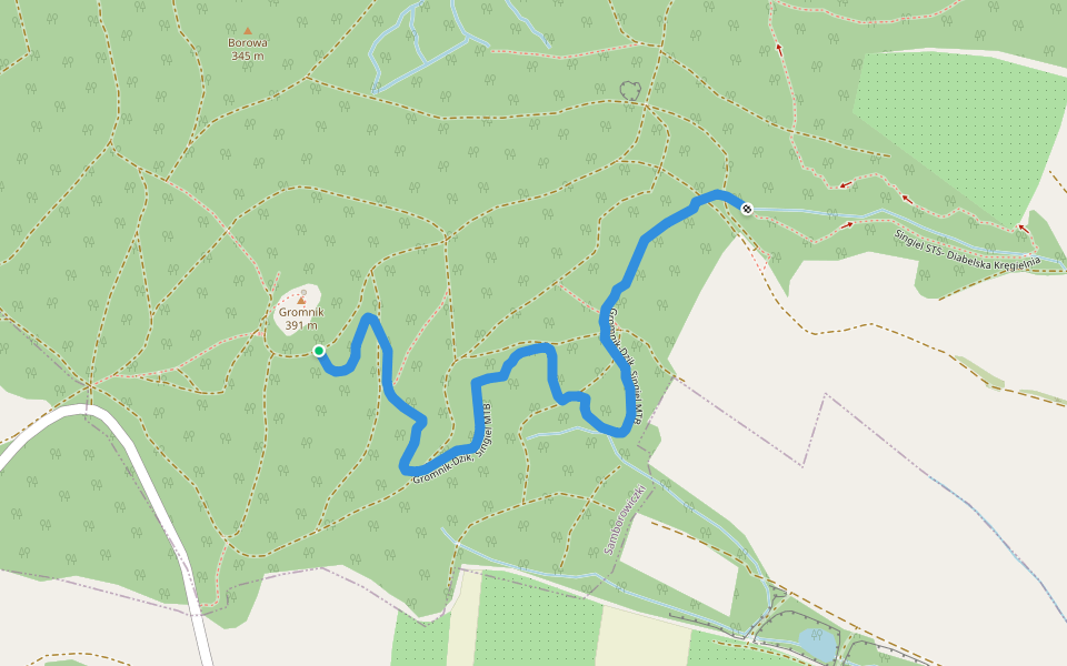 Gromnik-Dzik, Singiel MTB walking route map in Romanów