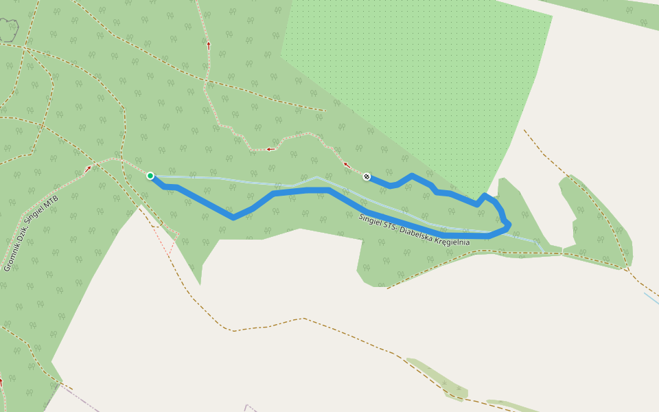 Singiel STS- Diabelska Kręgielnia walking route map in Romanów