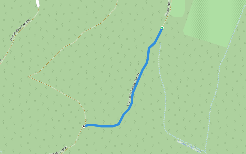Chemin du Bois de Sagnes walking route map in Carsan