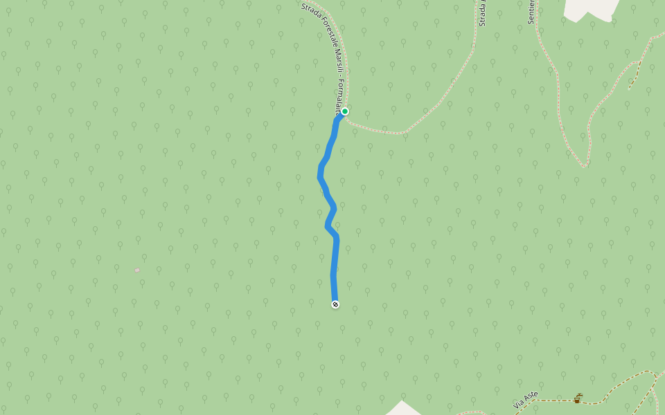 sentiero downhill da vedere d'inverno, troppi rovi in estate walking route map in Rive Poleo