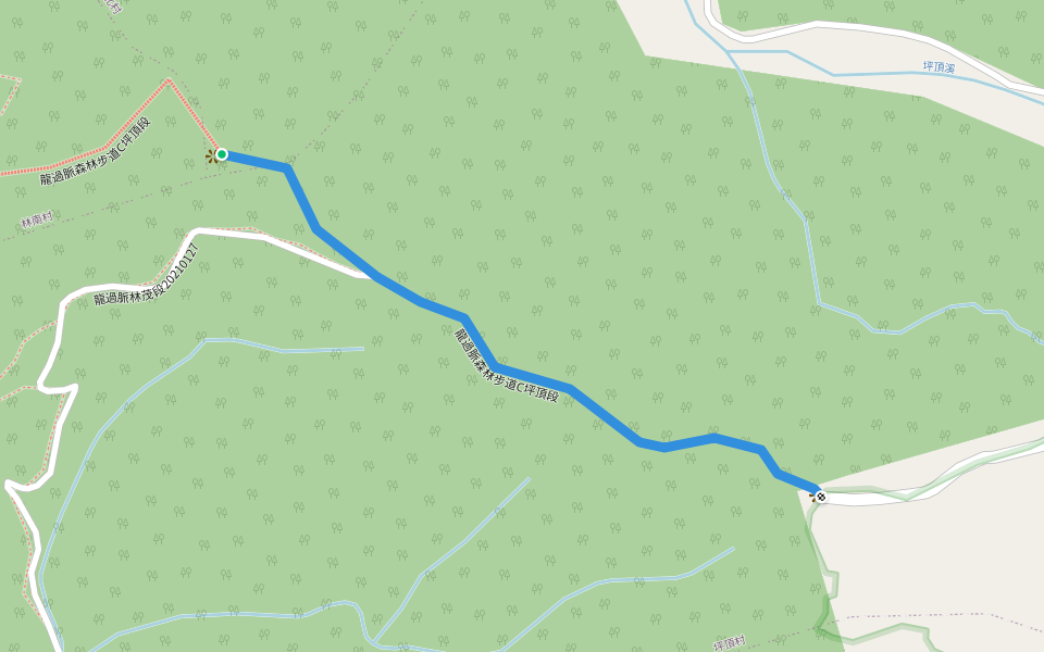 龍過脈森林步道C坪頂段