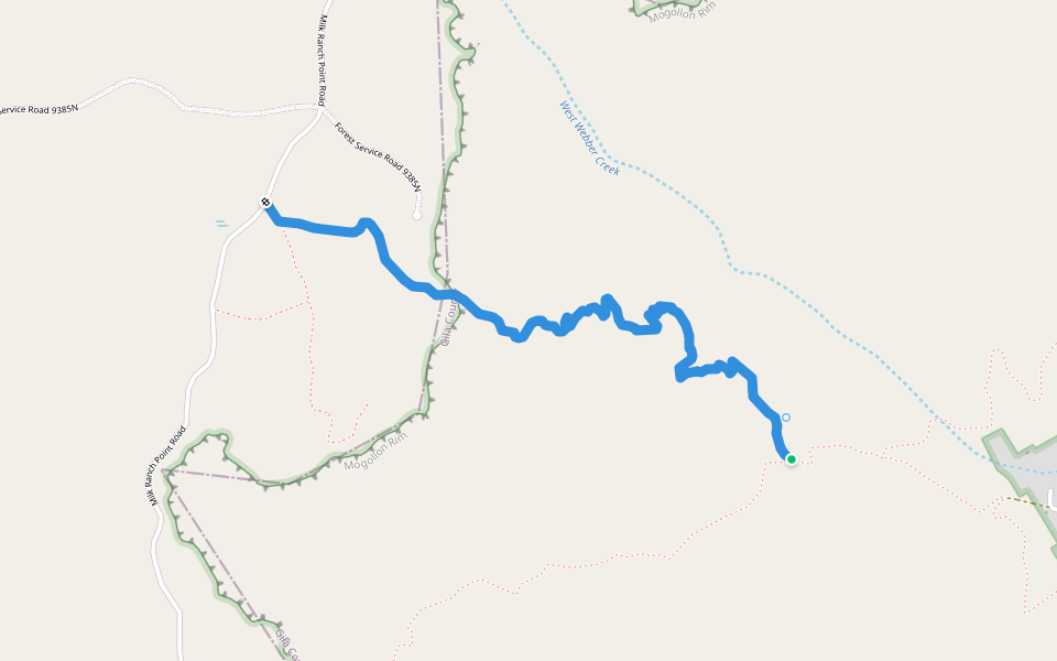 Turkey Springs Trail #217 walking route map in Pine