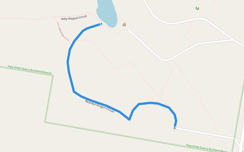 Bearded Dragon Circuit walking route map in Brassall