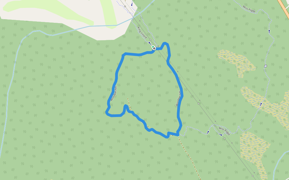 Woodpecker walking route map in Innbygda