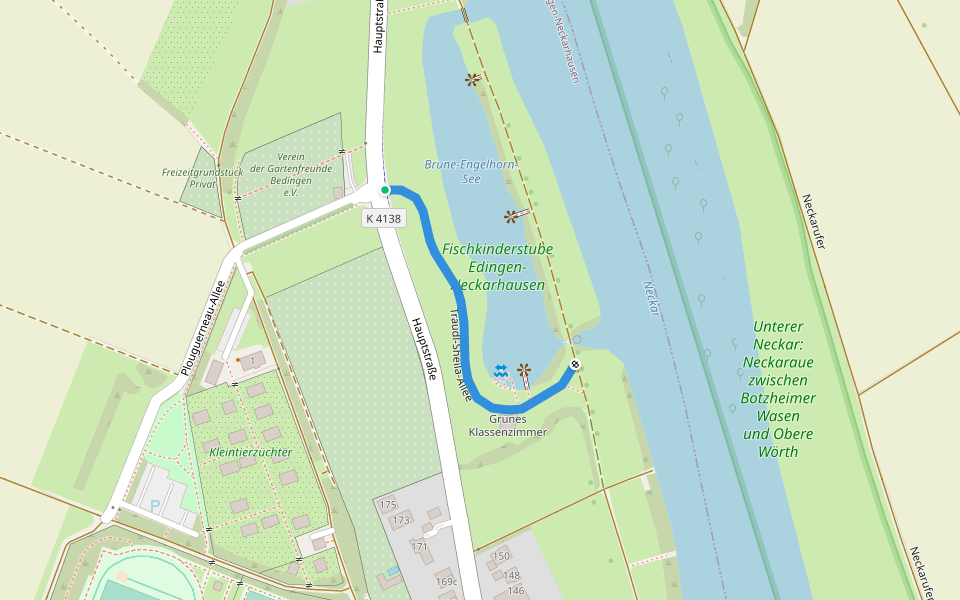 Traudl-Sheila-Allee walking route map in Edingen-Neckarhausen