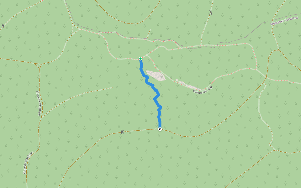 Trail nahe Püttnerfelsen walking route map in Tröstauer Forst-Ost
