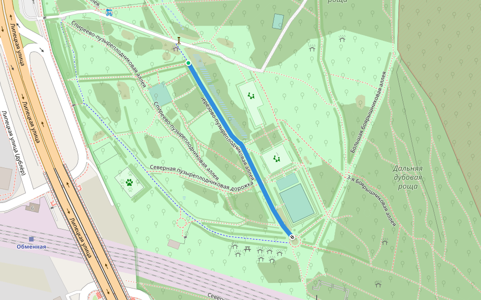 Берёзово-пузыреплодниковая аллея