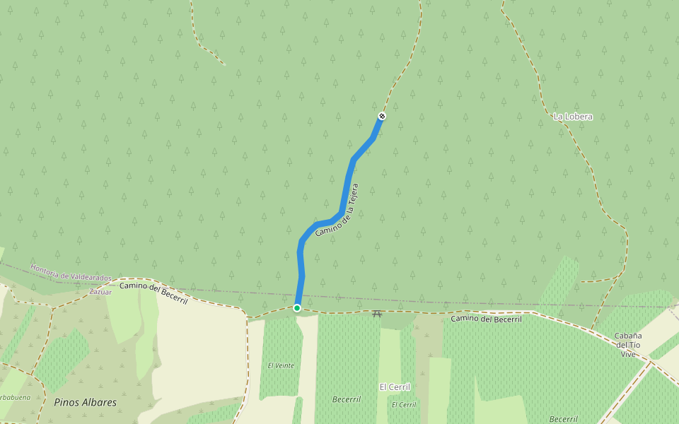 Camino de la Tejera walking route map in San Juan del Monte