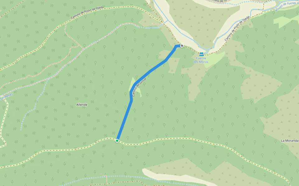 Camino del Juncal walking route map in Olmos de Ojeda