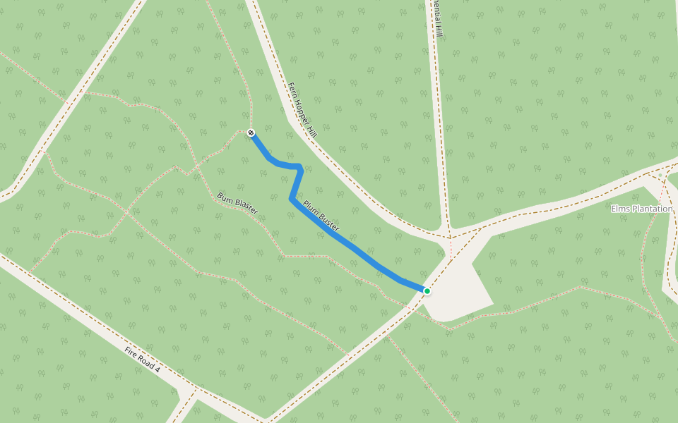 Plum Buster walking route map in Brandon