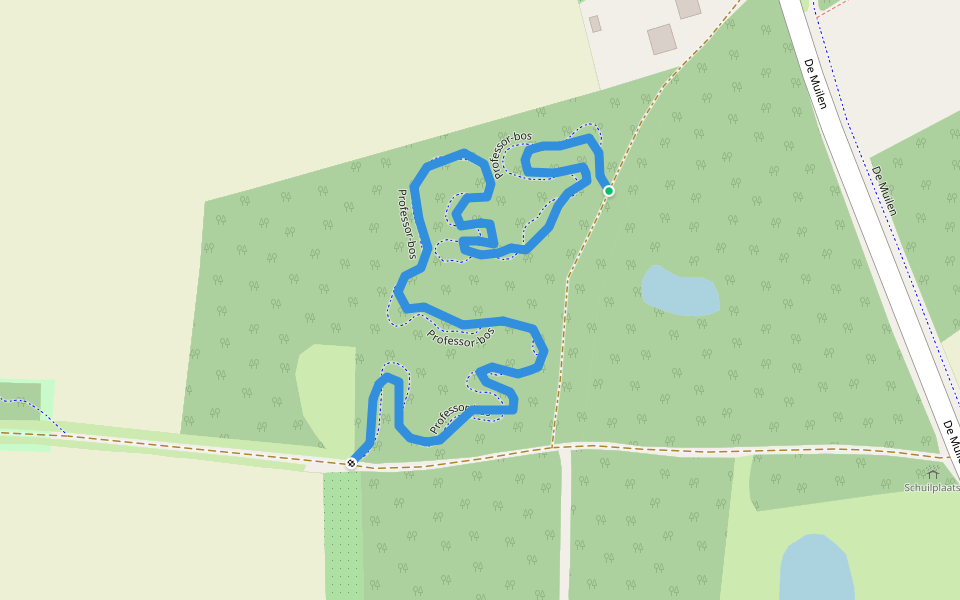 Professor-bos walking route map in Netersel