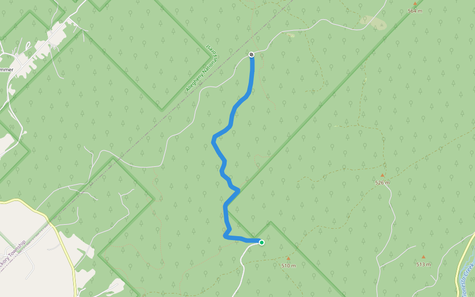 Allegheny Snowmobile Loop Trail 1 walking route map in Tionesta