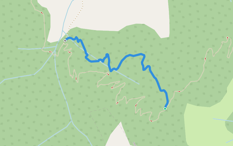 Gvizd Trail walking route map in Lechnica