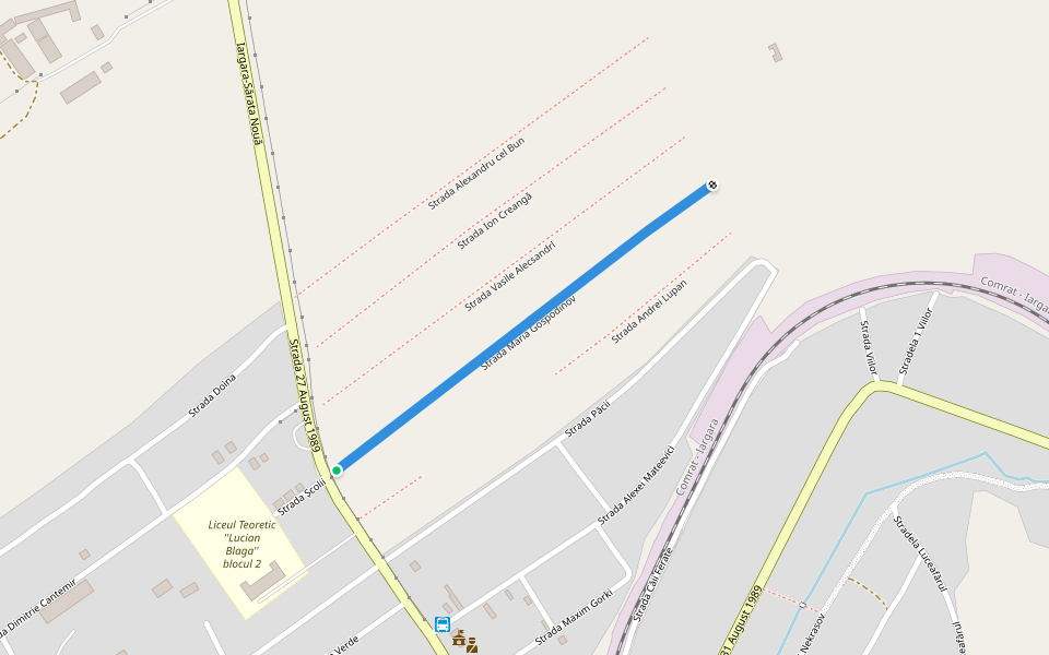 Strada Maria Gospodinov walking route map in Băiuș