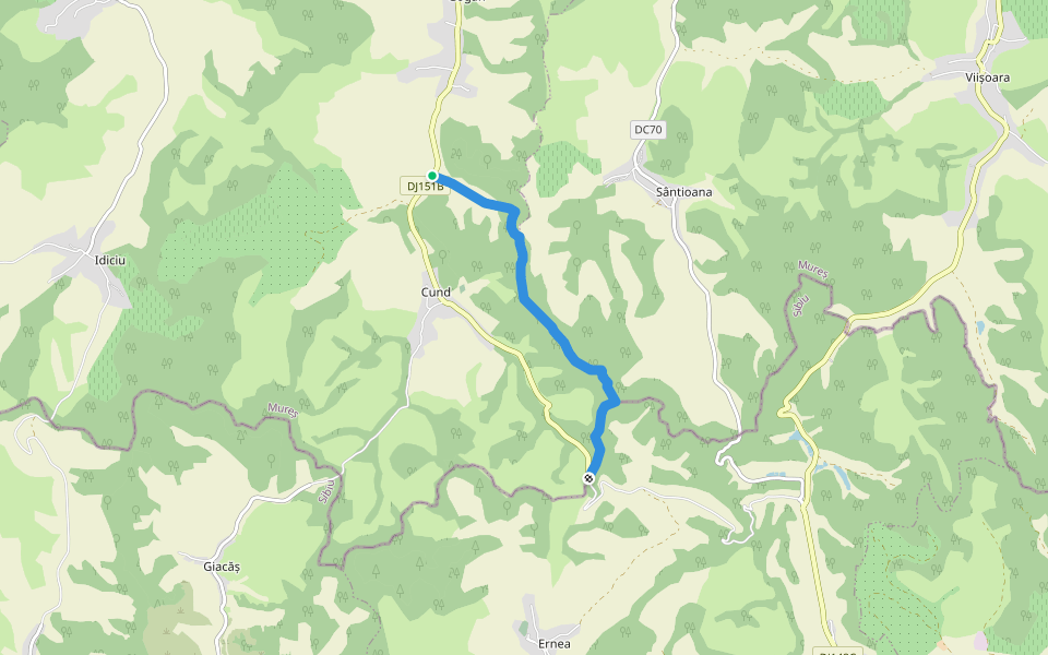 Forest Trail - Traseul Pădurii walking route map in Gogan
