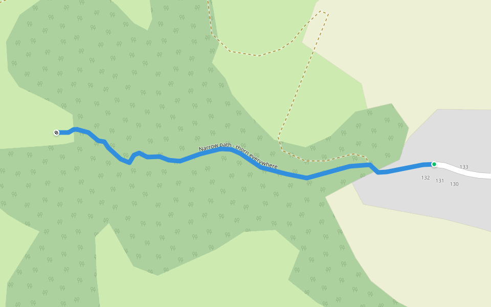 Narrow path - thorn everywhere walking route map in Sîntelec