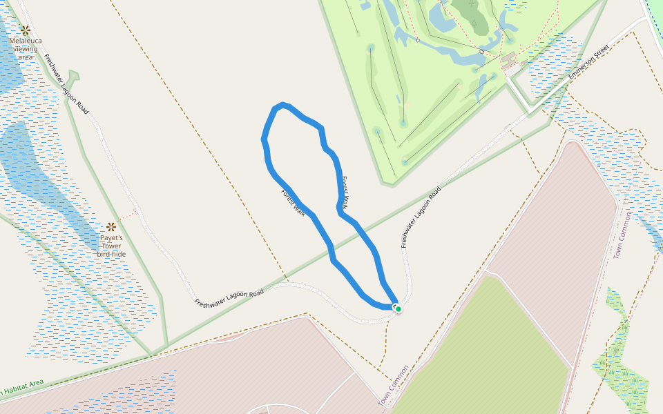Forest walk walking route map in Garbutt