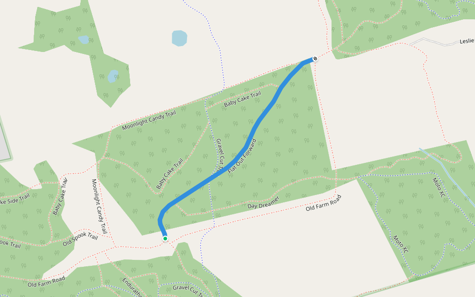 Flat Out Forward Walking And Running Trail Gormley, Ontario Pacer