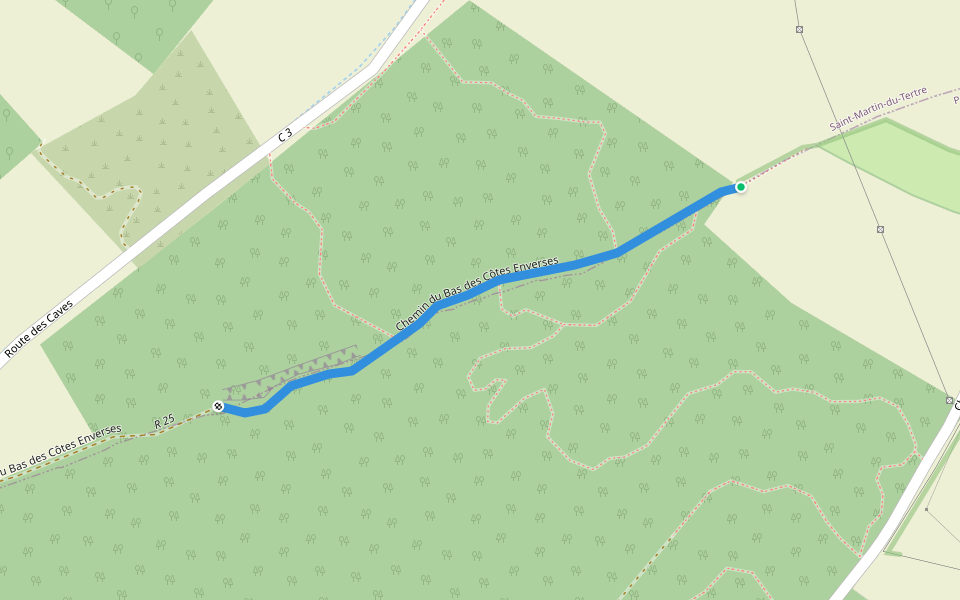 Chemin du Bas des Côtes Enverses walking route map in Saint-Martin-du-Tertre