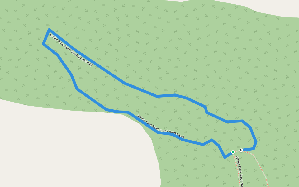 White Pine Bush track (unpaved) walking route map in Tangoio