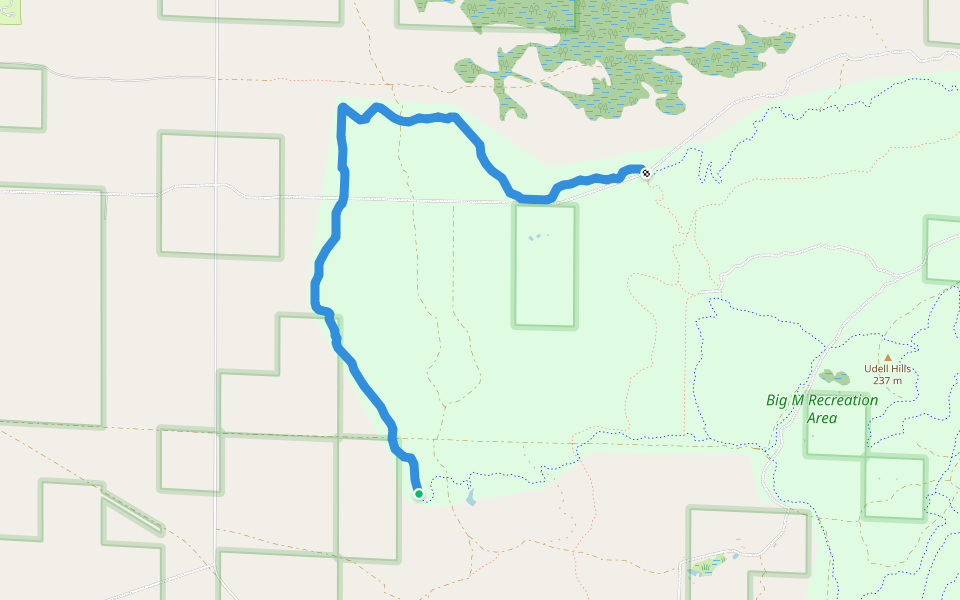 Road Monkey walking route map in Manistee