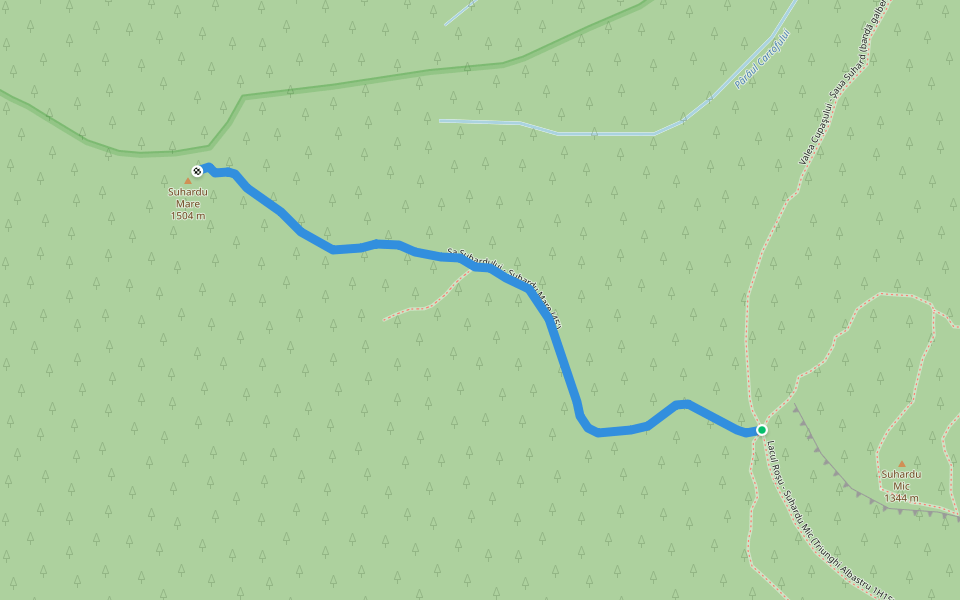 Șa Suhardului - Suhardu Mare (45') walking route map in Lacu Roșu