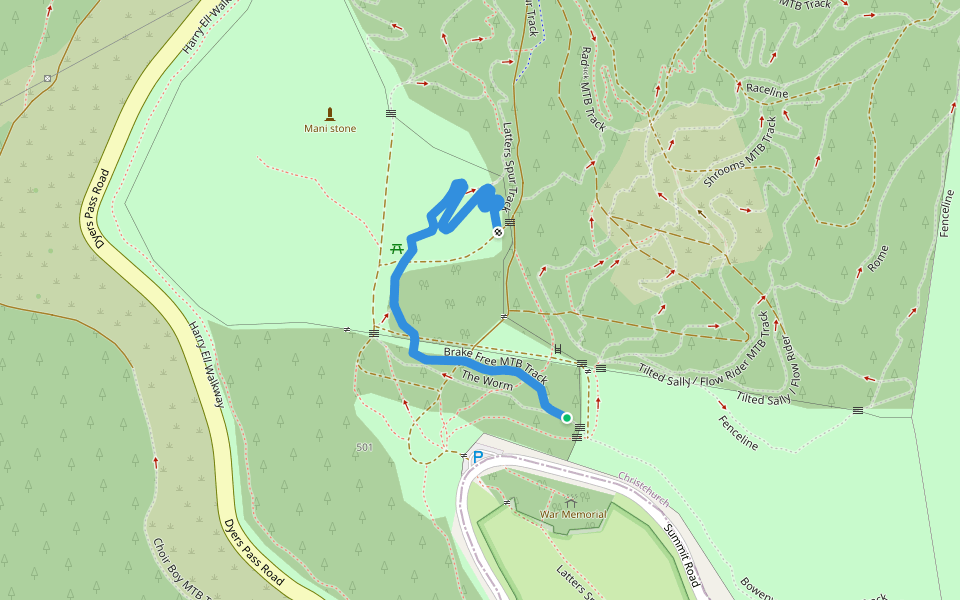 Brake Free MTB Track Walking and Running Christchurch, Canterbury Pacer