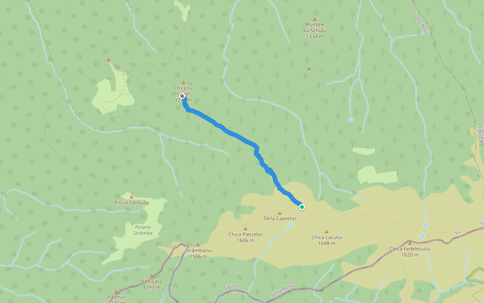 Traseul Turnul Roșu Chica Pietrelor walking route map in Lazaret