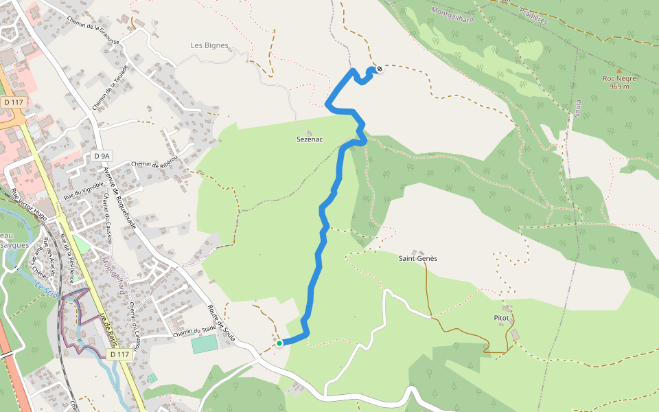 Sentier Cathare Roquefixade / Montgailhard GR107 et 367 walking route map in Montgailhard