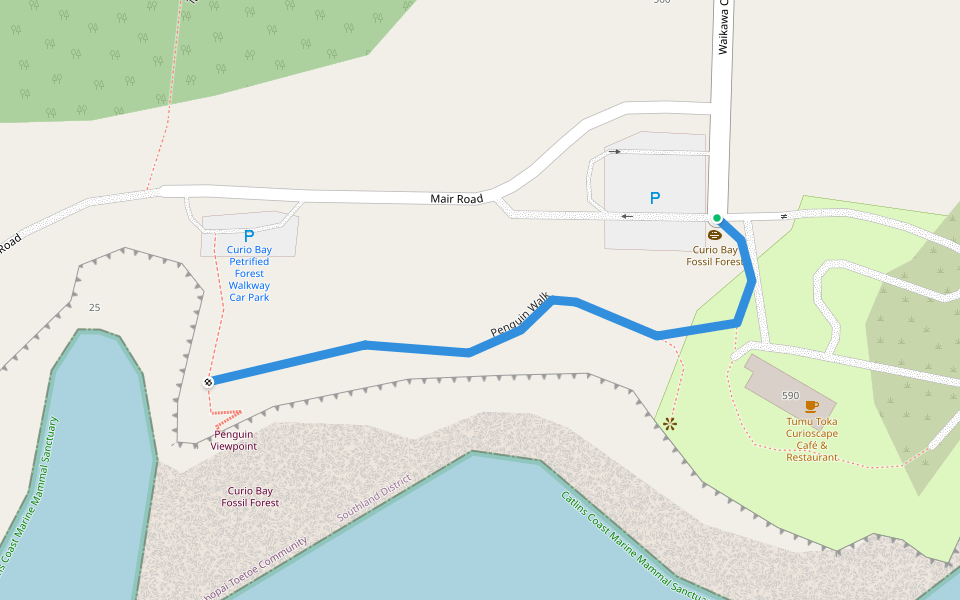 Penguin Walk walking route map in Curio Bay