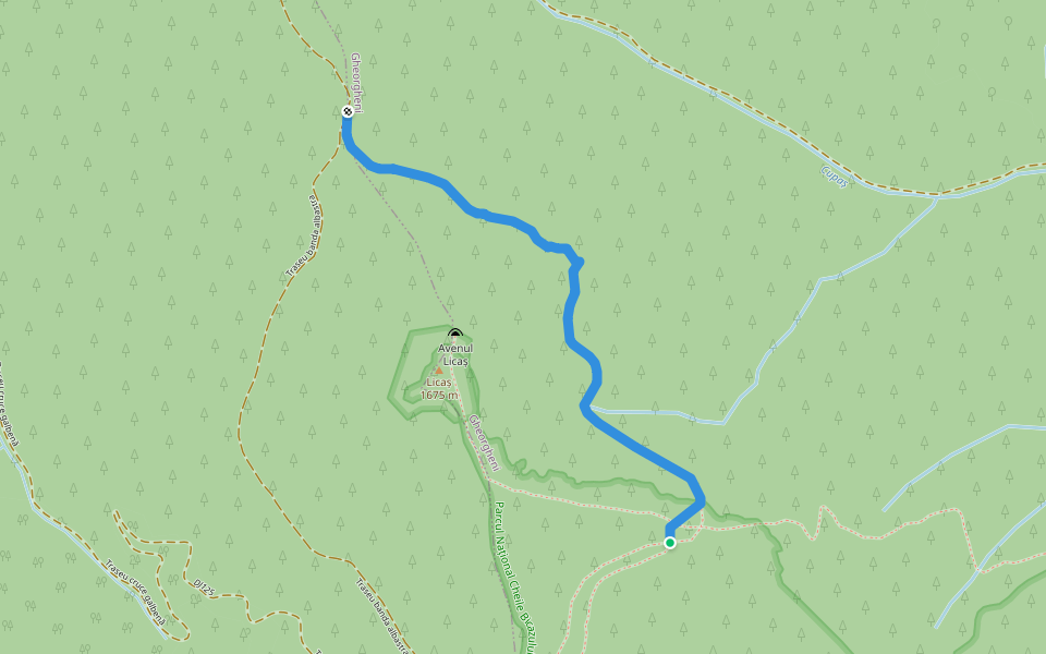 Traseu punct albastru walking route map in Lacu Roșu