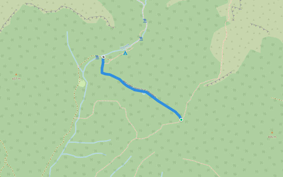 местами заросла и завалена walking route map in Novosadovyy