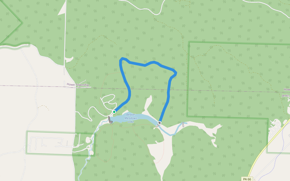 Beaver Meadows Loop Trail walking route map in Marienville