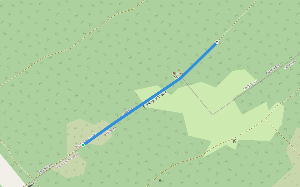 Eichkopfschneise walking route map in Glashütten