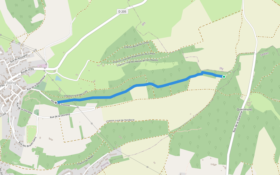 Chemin communcal du Grand Terme walking route map in Floing
