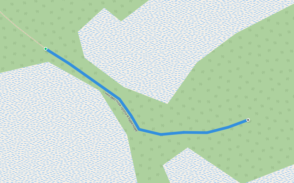 неизвестная тропа в буреломе walking route map in Bol'shoi Ermuchash