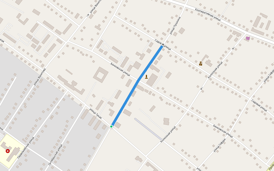 улица Пушкина walking route map in Musliumovo