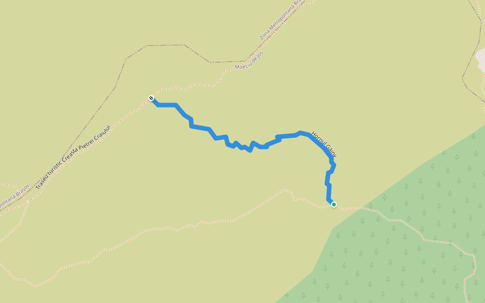 Hornul Găinii walking route map in Zărnești