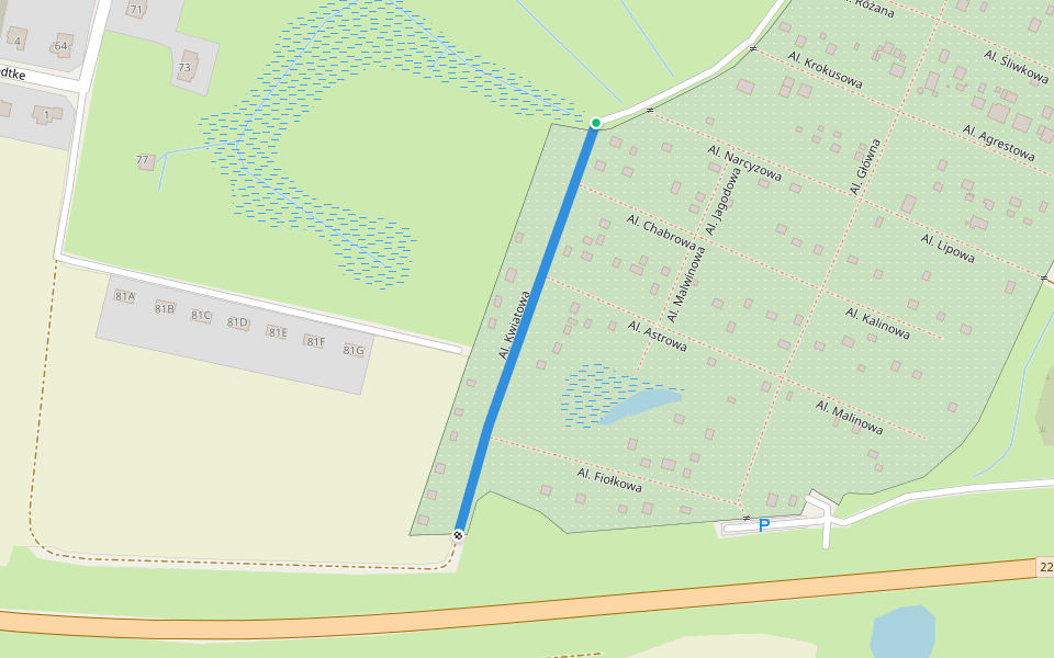 Al. Kwiatowa walking route map in Chojnice