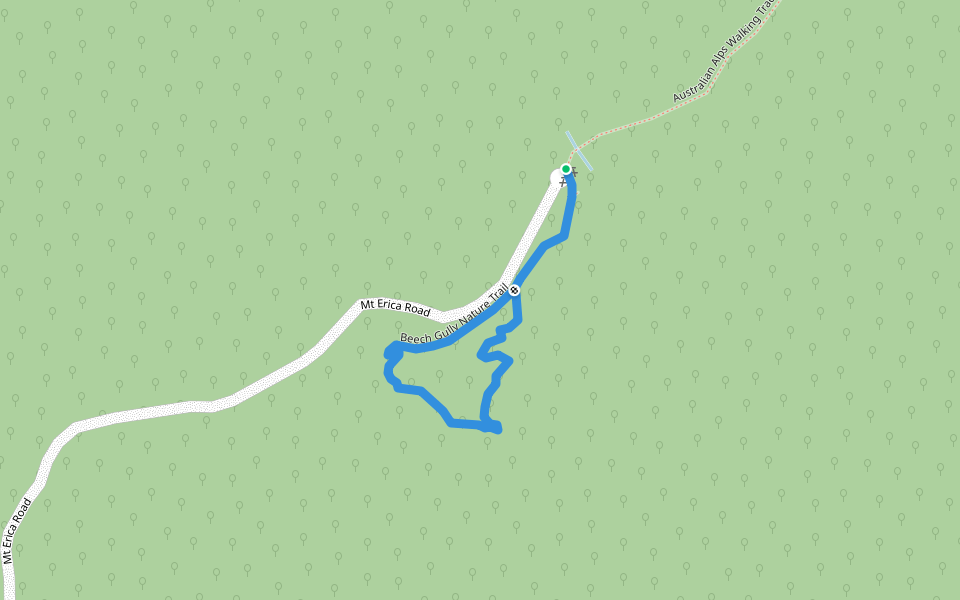 Beech Gully Nature Trail walking route map in Baw Baw