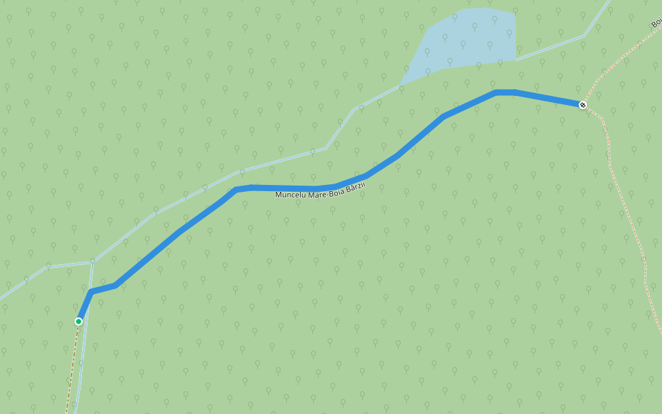 Muncelu Mare-Boia Bârzii walking route map in Boia Bârzii